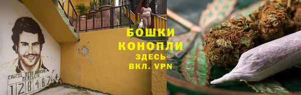 PSILOCYBIN Алексеевка