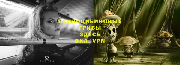 PSILOCYBIN Алексеевка