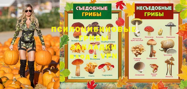 PSILOCYBIN Алексеевка