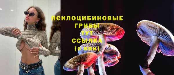PSILOCYBIN Алексеевка