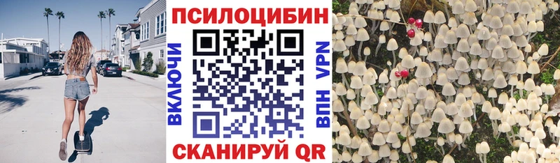 купить  цена  Курлово  Псилоцибиновые грибы мицелий 